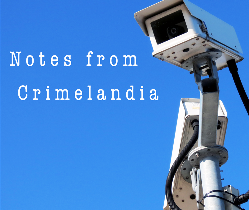 Notes from Crimelandia,  by Bree LeMaire